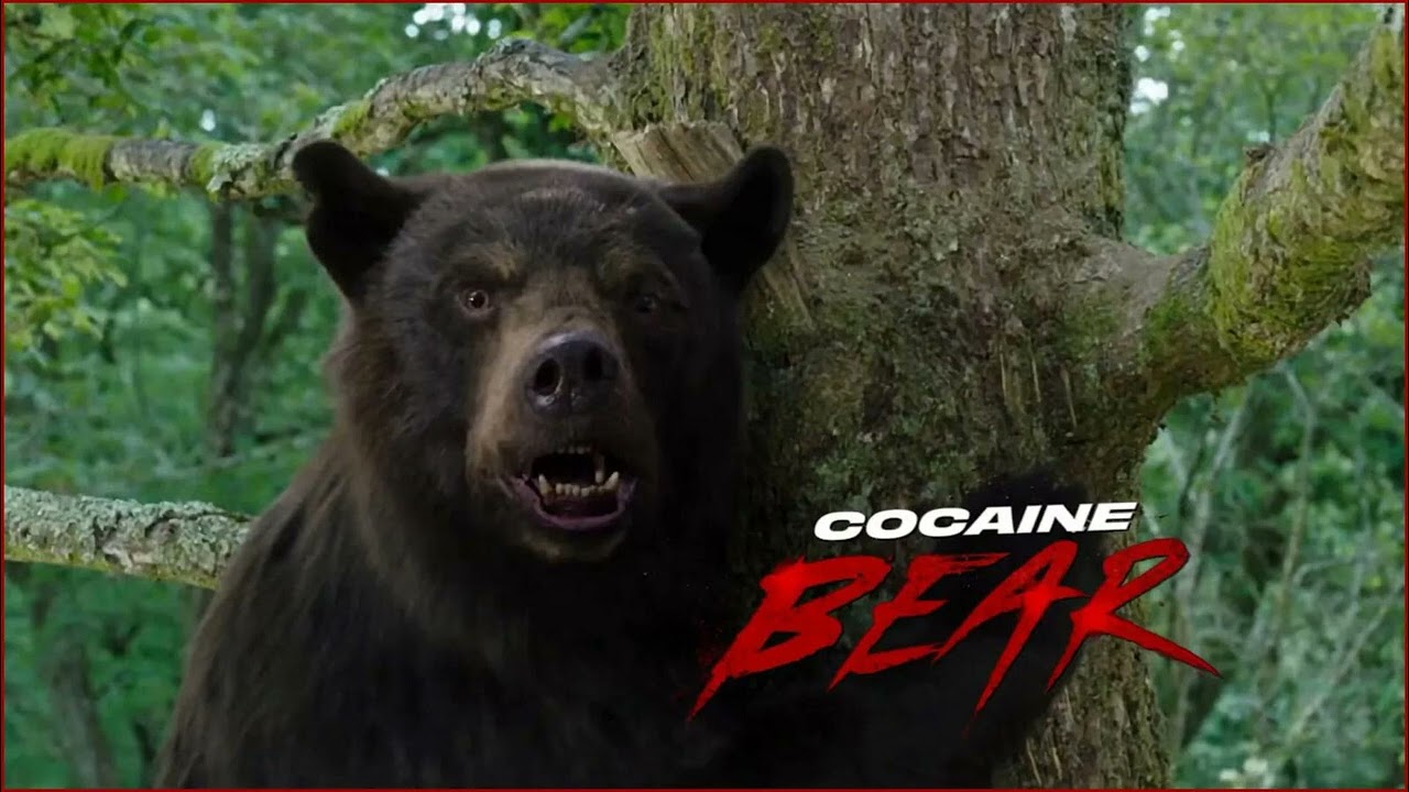 COCAINE BEAR