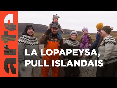 En Islande, tricote-moi un pull | Invitation au voyage | ARTE