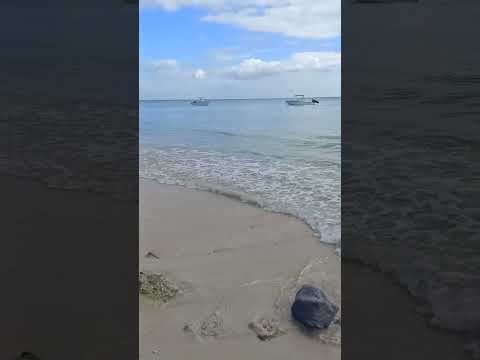 Mauritius Flic n FLAC