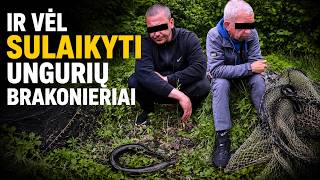 Ir vėl sulaikyti ungurių brakonieriai
