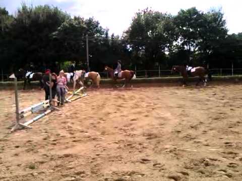 RWB mit Sprüngen Gestüt Morschheuser Verena & Fame 26.August