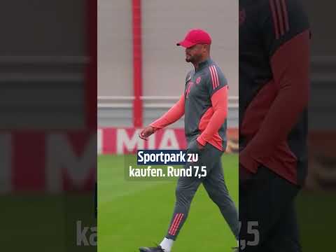 Historische Spielstätte: Dieses Stadion will der FC Bayern kaufen | #shorts