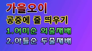 [텃밭농부. 1,219]  가을오이 공중에 줄 띄우고 외줄로 두줄로 키우기 #오이재배