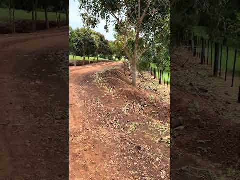 Ribeirão dos Índios Bandeirantes Pr