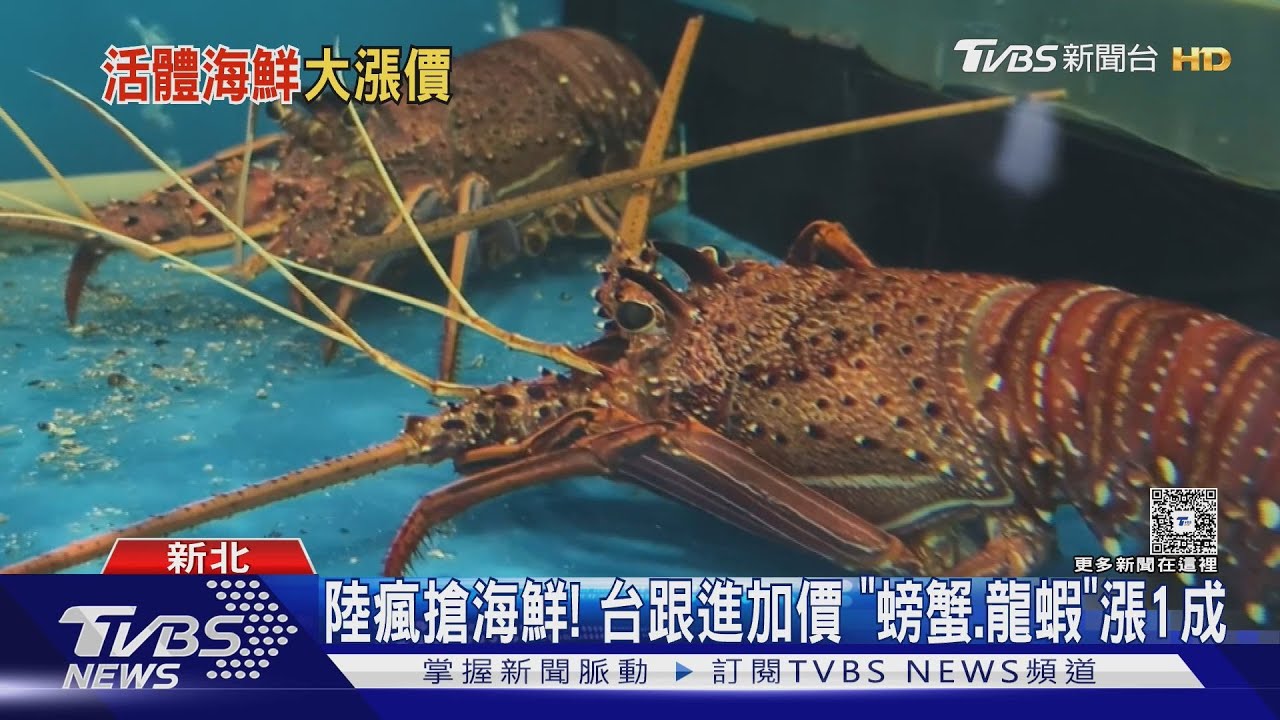 陸瘋搶海鮮! 台跟進加價「螃蟹、龍蝦」漲1成