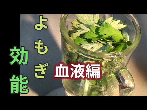 よもぎ茶の作り方、使い方、効果 植物