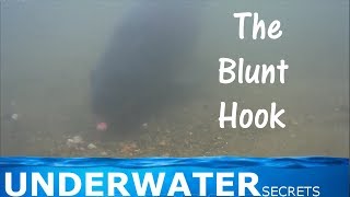 underwater fishing. The blunt hook carp