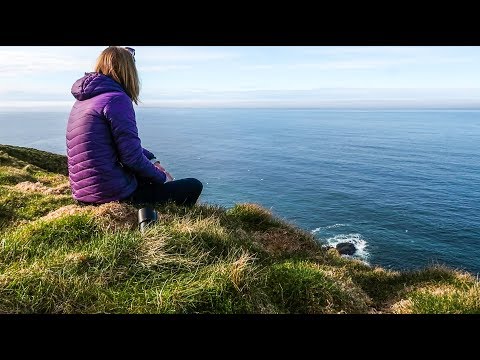 Wildlife Photography | Scotland's Only Mainland Gannet Colony