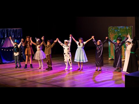 Peça Teatral: O MÁGICO DE OZ (VII Festival de Teatro Primo Atto)