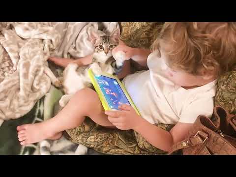 Baby and Cat Fun and Fails #2 - baby baby