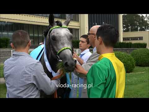 Gon. VII (Derby Arabskie) - 25.07.2021 - Alsahr (Mared Al Sahra - Almina)