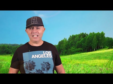 Nicolae Guta - Romania , tara mea ( video oficial)