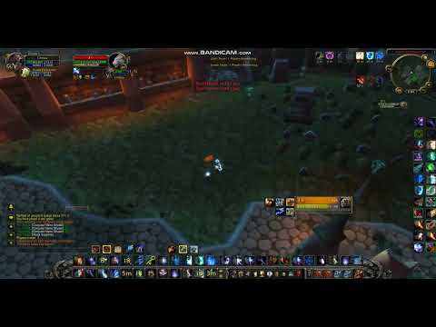 frost mage vs feral druid 3.3.5 a wowcircle 1 x 1