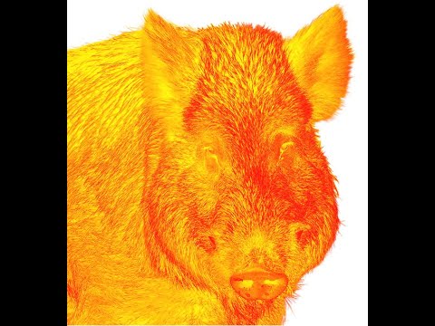 Farbmodi - Colour Mode - Liemke Keiler