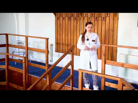 Mofete - adevărate minuni ale lumii!