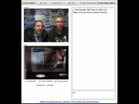 Web Cam / Chatroulette Prank Funny Snake #2