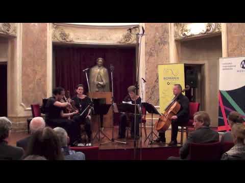 Adrian Iorgulescu - String  Quartet no 5, p a a