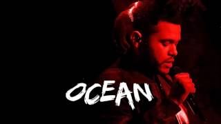 The Weeknd x Cashmere Cat - &quot;Wild Love&quot; Type Beat