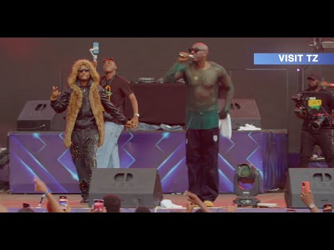 Bien Ft Darasa Live perfomance at Castelight Concert