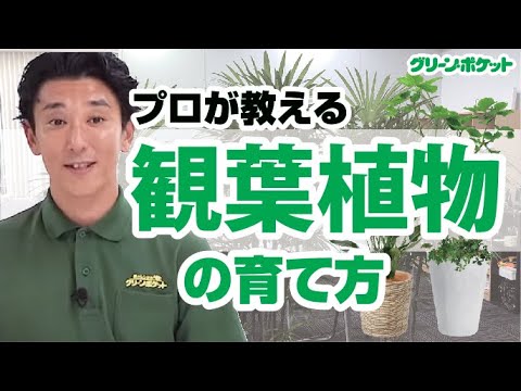 経済学科 大切なのは置き場所！環境に適した植物の育て方