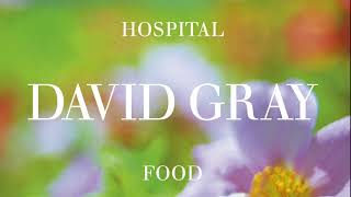 David Gray - Baltimore - Live at V2003; Randy Newman cover (Official Audio)