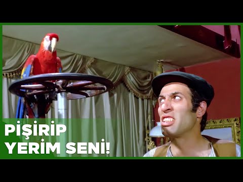 Sahte Kabadayı Türk Filmi | Kemal, Papağan Ziya'yla Kavga Ediyor!