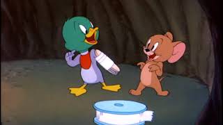 Tom and Jerry - Dokter Bebek(The Duck Doctor, bahasa indonesia sub)