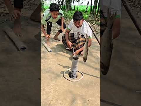 Black snakes new tacknig.#funny#viral#snake#shorts#fyp