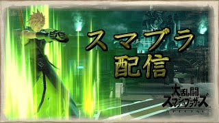社会人による無双スマブラ　目つき改善あり[スマブラSP]