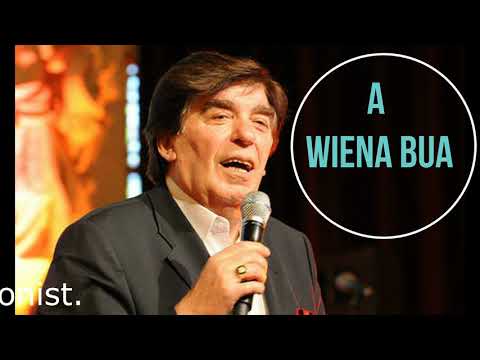 Sinti Musik. Franco Andolfo - A Wiener Bua.