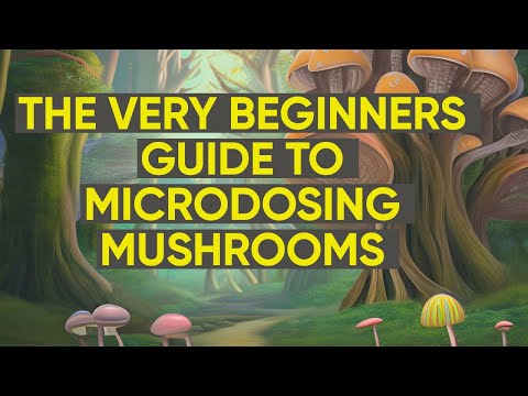 The 2025-2026 Absolute Beginners Guide To Microdosing Magic Mushrooms