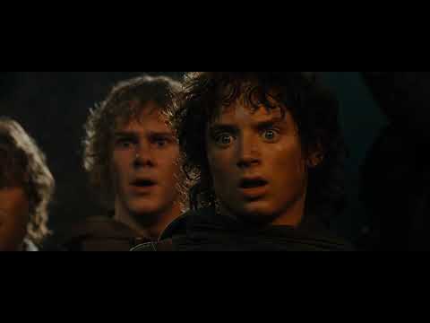 Filme O SENHOR DOS ANÉIS A SOCIEDADE DO ANEL