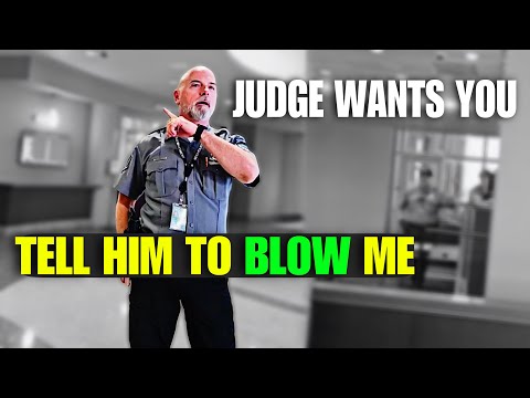 The Definition Of Domestic Terrorism: Committed By A “Judge” In America