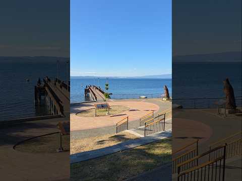 Lago Ranco para volver una y otra vez #lagoranco #regiondelosrios #cafehelado