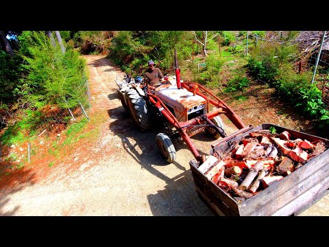 Worthless to Workhorse-  David Brown Tractor gets Long Overdue Service/ Repairs then back to work..