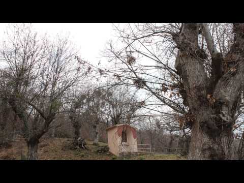 Raccontami Paterno Calabro