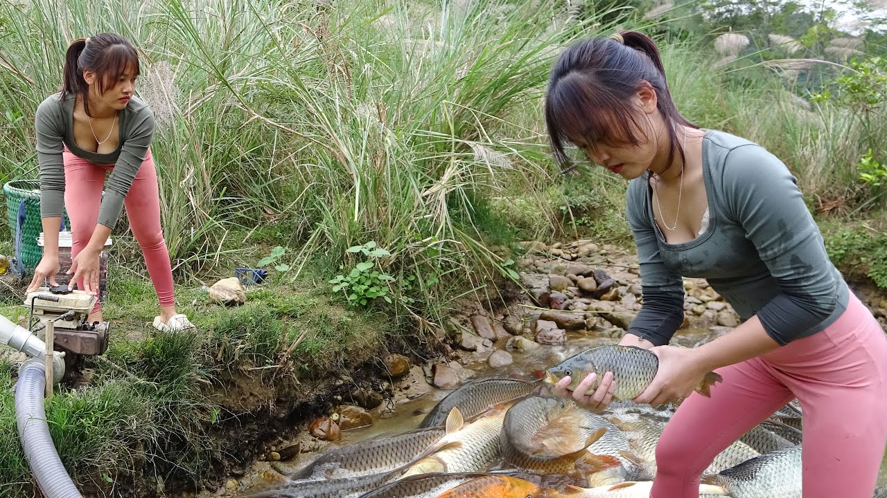 GIRL FISHING Traditional - Catches Fish with Bamboo and Net – Amazing l Technique -  Mia Fishing