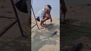 Catfish Bait fishing for giant fish hunting cilp 2 #bait #lurefishing