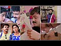 Kanchimmiyo Nin Jaalakam Mizhiyariyathe Niram Movie Kunchackoboban Shalini Vidhyasagar