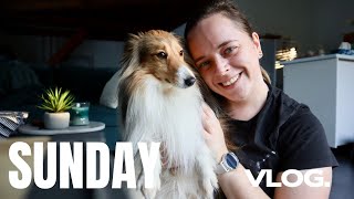 COSY VLOG - Promenade, Shopping Haul, Lecture de romantasy - Elora