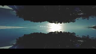 Harald Björk - Sketch On A Feeling  (Extrawelt Remix) - Official 4K Video