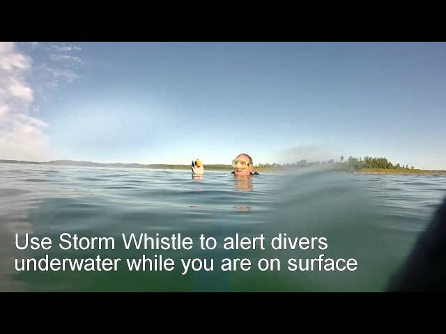 صافرة العاصفة