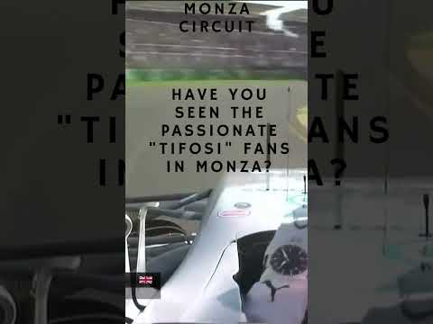 Thumbnail for Ferrari's Fiery Faithful: The Electrifying Passion of Monza's 'Tifosi' Fans! #f1shorts #f12023 by Tifosi