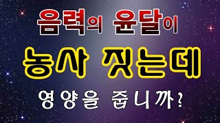[텃밭농부.998]  음력의 윤달이 농사에 영향을 줄까요?