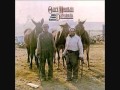 Ozark Mountain Daredevils - Fly Away Home