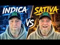 Indica Vs Sativa The Biggest Lie You Ve Been Told