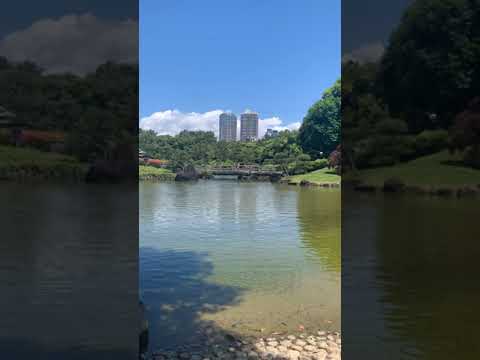 木々のある広い庭園: ヒントとコツ、計画のアドバイスとアイデア  庭園