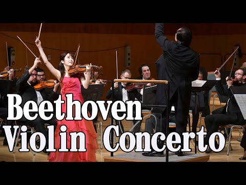ベートーヴェン　ヴァイオリン協奏曲　井崎正浩指揮　ハンガリー ソルノク市立交響楽団 Beethoven Violin Concerto Ddur Op.61