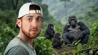 World's Largest Primate (MOUNTAIN GORILLAS) 🦍🇨🇩