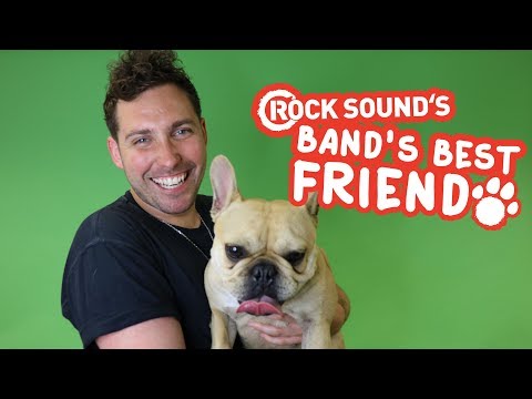 Meet You Me At Six Frontman Josh Franceschi’s Dog, Harley